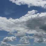 激痛の原因は尿路結石（1）